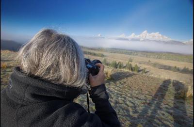 Woman with grey hair, taking a photo; image taken from behind